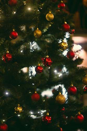 ornament red and yellow christmas baubles close-up photography plant